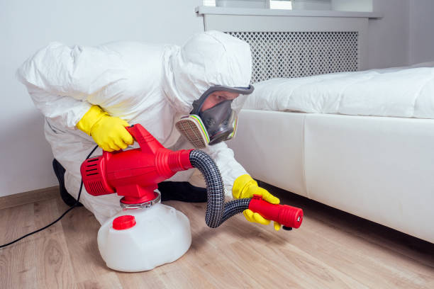 Flea Control Services in Castle Shannon, PA