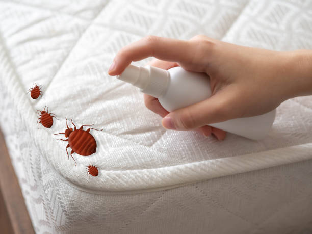 Best Commercial Pest Control Services  in Castle Shannon, PA