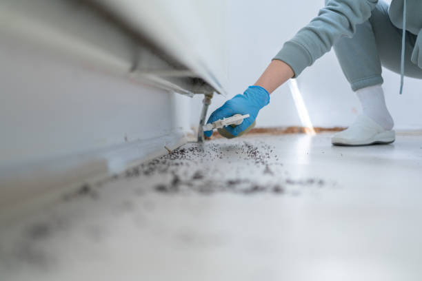 Trusted Castle Shannon, PA Pest Control Experts